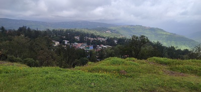 क्या है ओल्ड मंक, जनरल डायर और देवभूमि का रिश्ता..!!